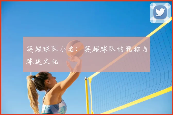 英超球队小名：英超球队的昵称与球迷文化